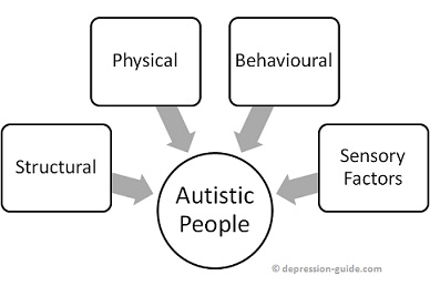 Autism Friendly Environmental  Flowchart