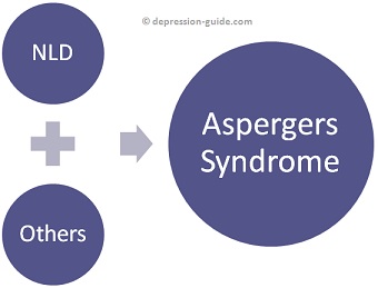 Non-Verbal Learning Disorder Graphic