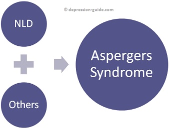 Non-Verbal Learning Disorder Graphic